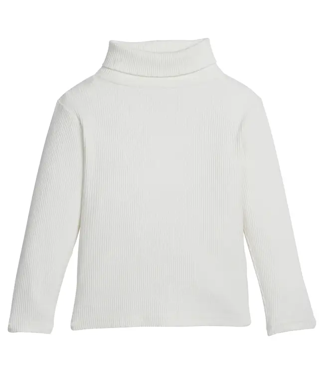 Bisby Ivory Ribbed Turtleneck