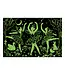 hachette book group Moonlight Ballet 100 Pc. Puzzle