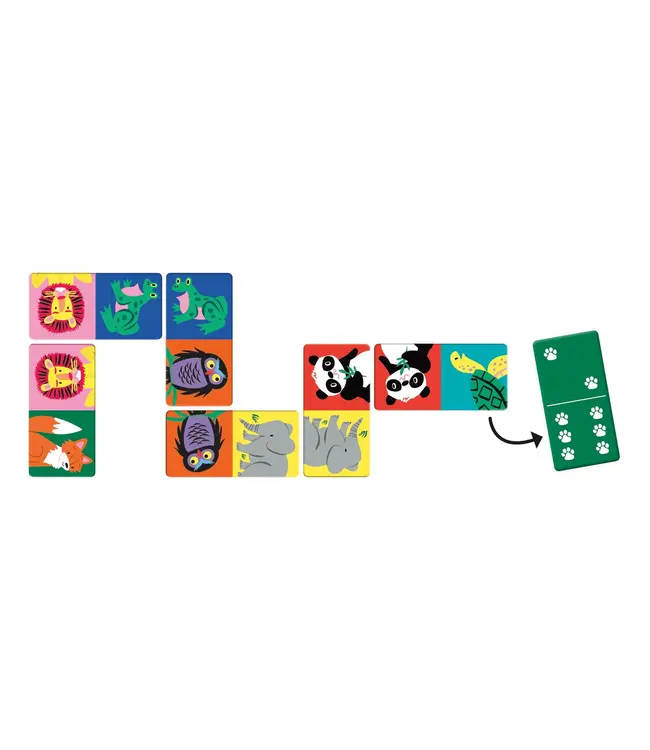 hachette book group Wildlife Dominoes