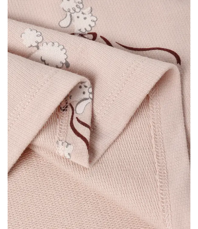 Rylee & Cru Blush Raglan Poodles Dress