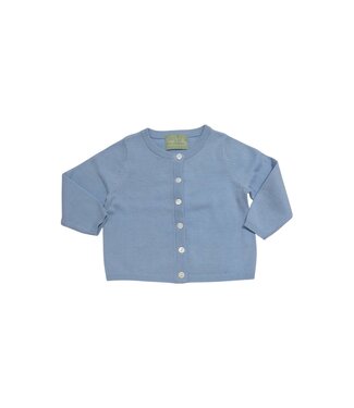 Sage and Lilly Light Blue Cardigan