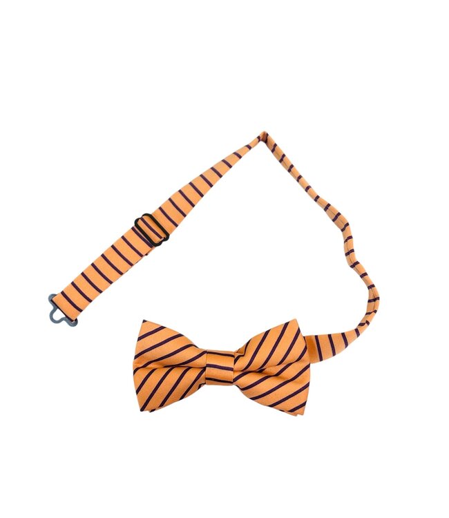 Tripp's Ties Bow Tie