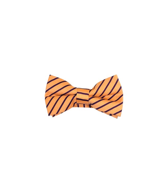 Bow Tie