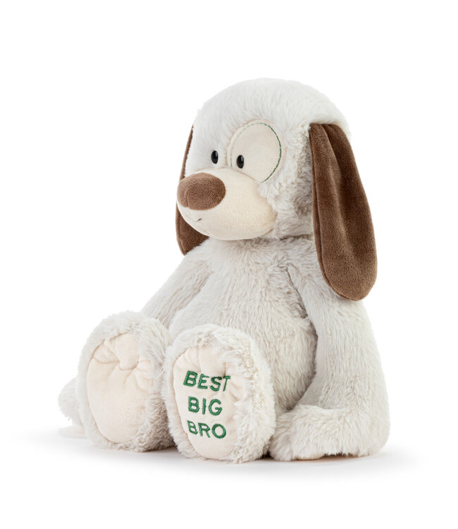 demdaco Best Big Brother Dog