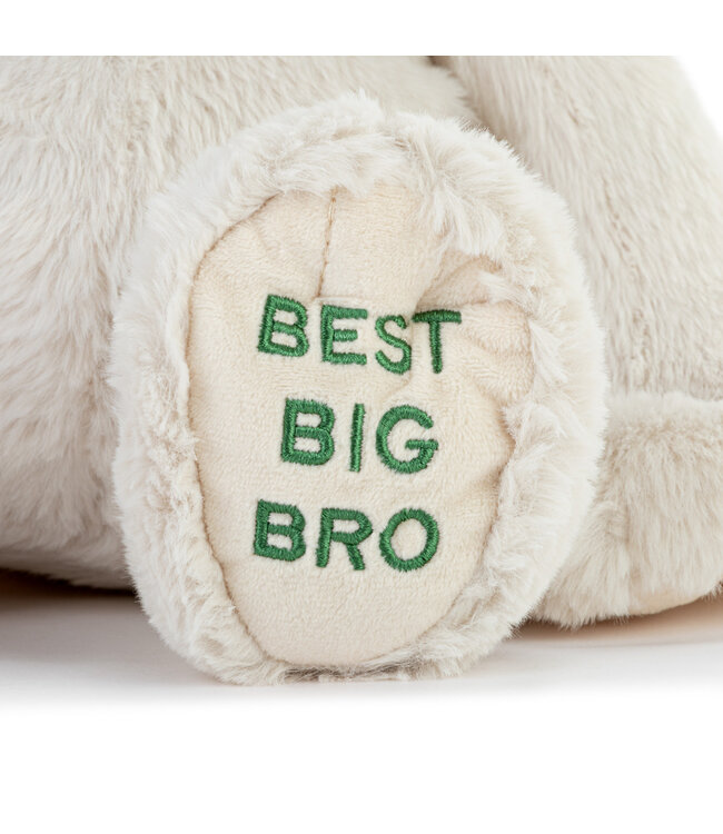 Best Big Brother Dog