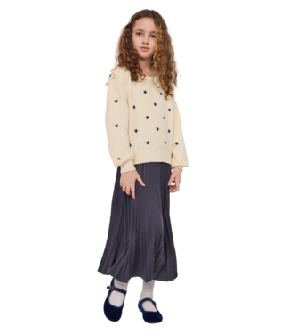 Sadie & Sage Cream/Navy Star Embroidered Sweater