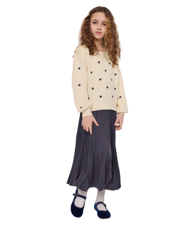 Sadie & Sage Cream/Navy Star Embroidered Sweater