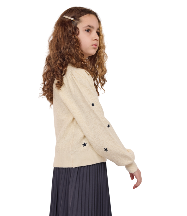 Sadie & Sage Cream/Navy Star Embroidered Sweater
