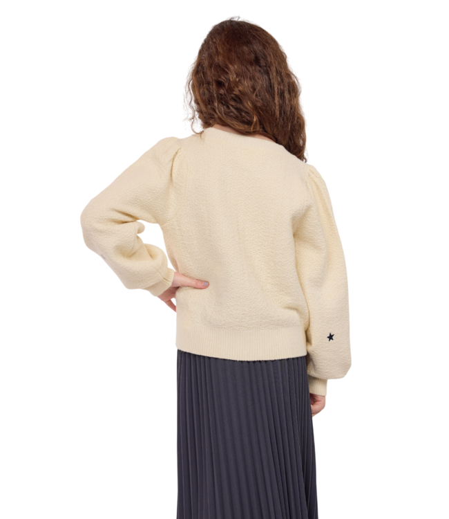 Sadie & Sage Cream/Navy Star Embroidered Sweater