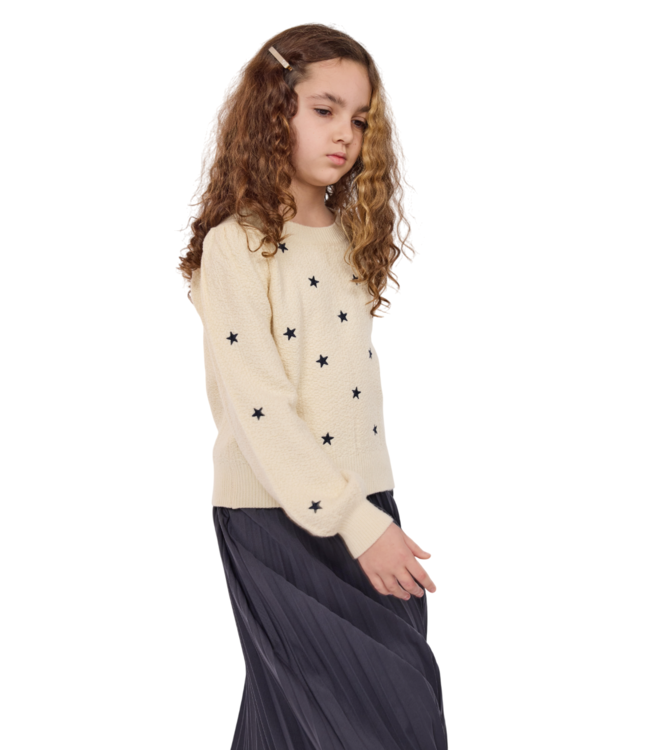 Sadie & Sage Cream/Navy Star Embroidered Sweater