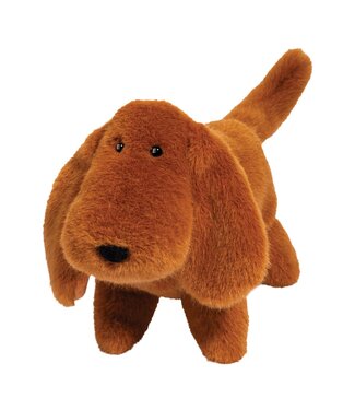 Douglas Dale Dachshund Muzzle