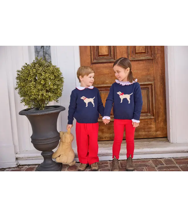 Little English Boy Lab Intarsia Sweater