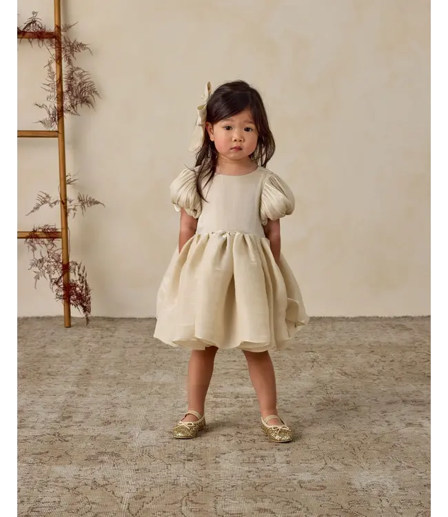 Noralee Ecru Sofia Dress