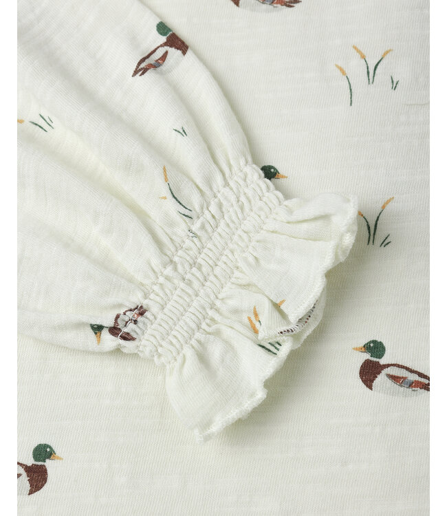 Rylee & Cru Ivory Ducks Swing Dress