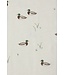 Rylee & Cru Ivory Ducks Tee
