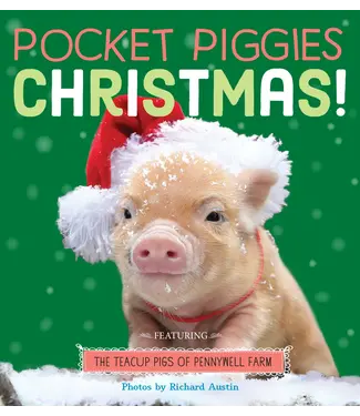 hachette book group Pocket Piggies Christmas!