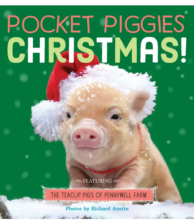 hachette book group Pocket Piggies Christmas!