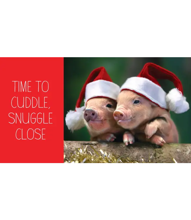 hachette book group Pocket Piggies Christmas!