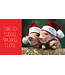 hachette book group Pocket Piggies Christmas!