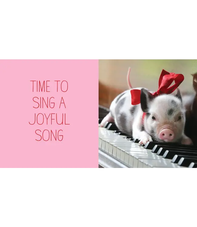 hachette book group Pocket Piggies Christmas!