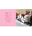 hachette book group Pocket Piggies Christmas!