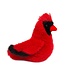 Douglas Carmine Cardinal