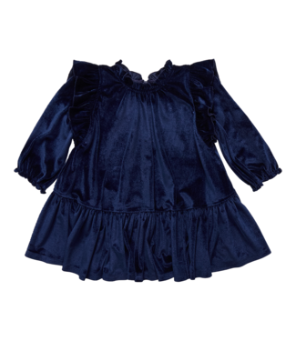 Pink Chicken Navy Velour Harper Dress