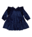Pink Chicken Navy Velour Harper Dress