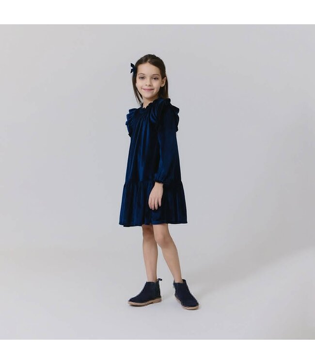 Pink Chicken Navy Velour Harper Dress