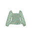 Bisby Greenwich Garden Green L/S India Top
