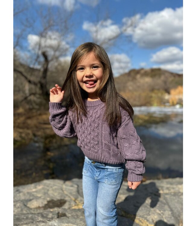 vignette Lavender Knit Molly Sweater