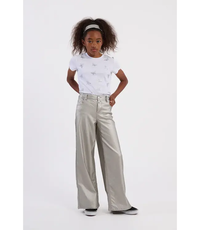 Molly Bracken Silver Woven Pants