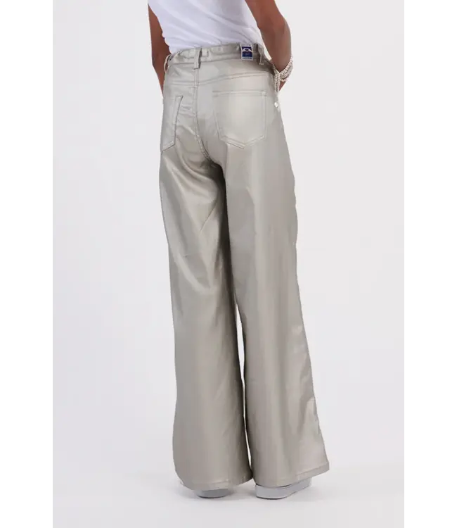 Silver Woven Pants