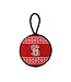 Needlepoint Ornament
