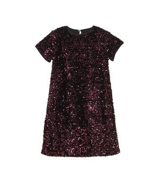 Creamie Vineyard Wine Sequin Velour Dress