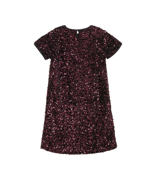 Creamie Vineyard Wine Sequin Velour Dress