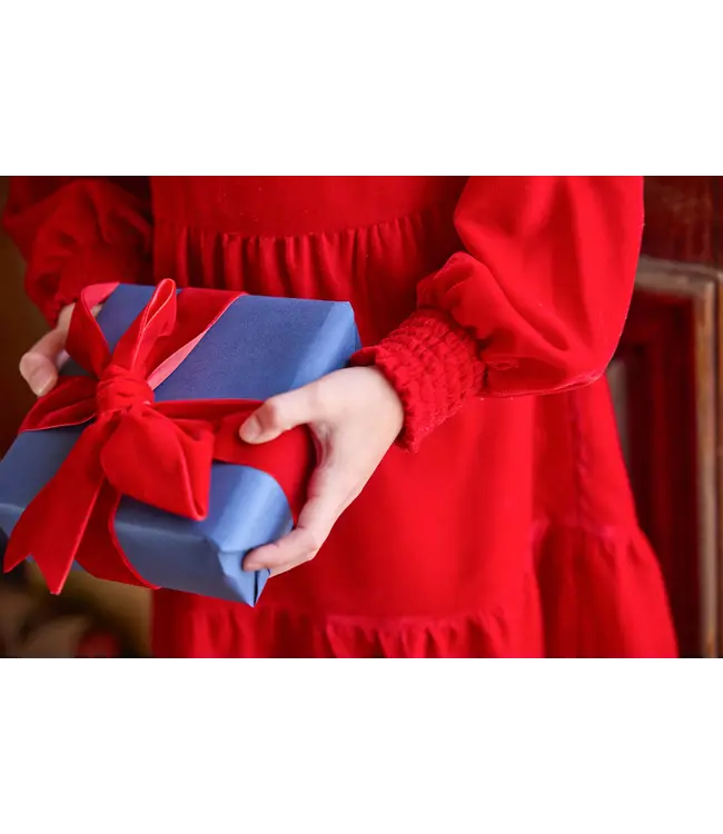 Little English Red Velvet Emerson Dress