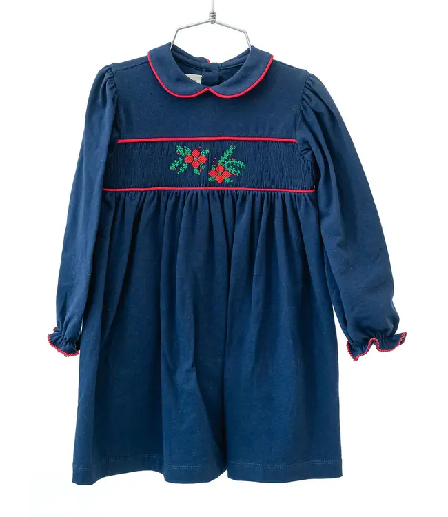 Ruth and Ralph Poinsettia & Blue Velvet Libby Knit Dress