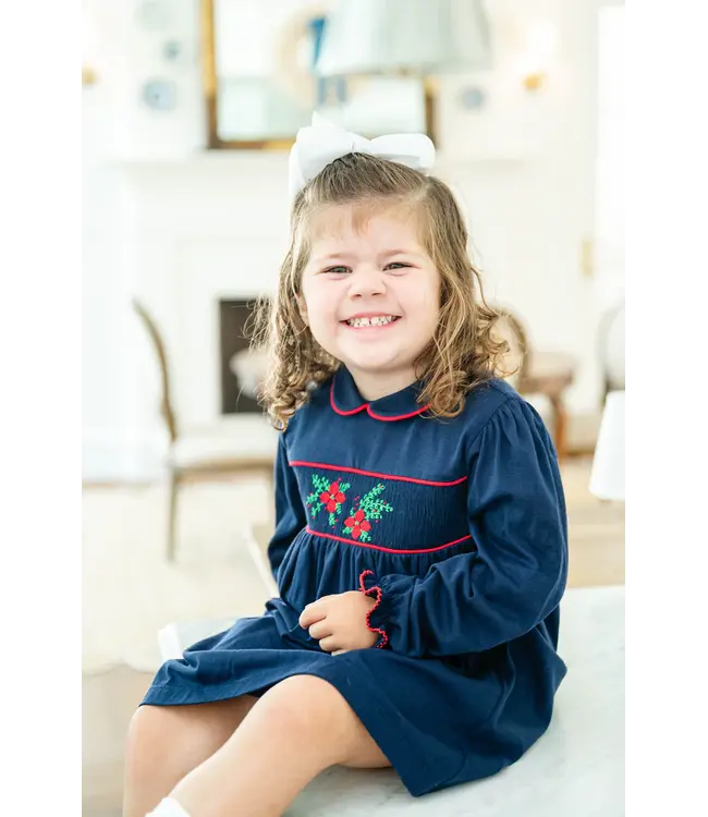 Ruth and Ralph Poinsettia & Blue Velvet Libby Knit Dress