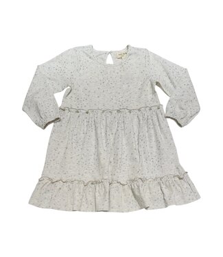 Forever Young Gray Star Dress