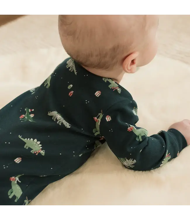 Petit Lem Navy Holiday Footed Romper