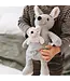 and the little dog laughed Glenda Kangaroo