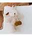 and the little dog laughed Beatrice Rabbit