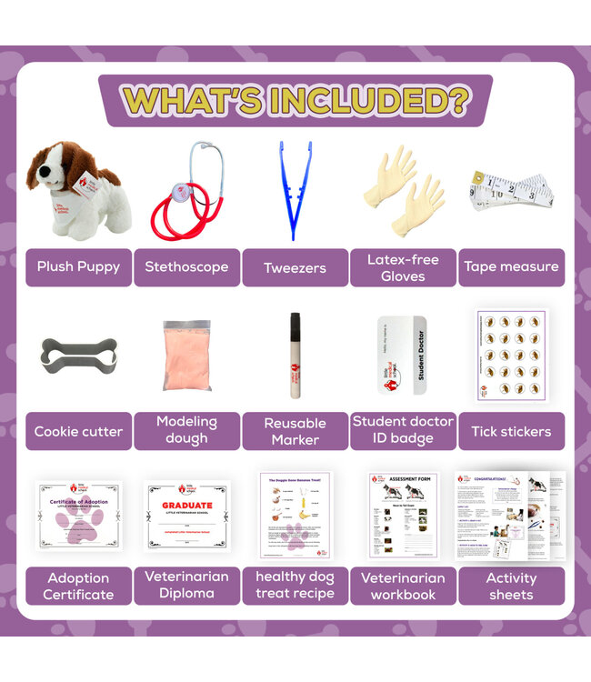 Little Medical School Veterinarian Activity Set