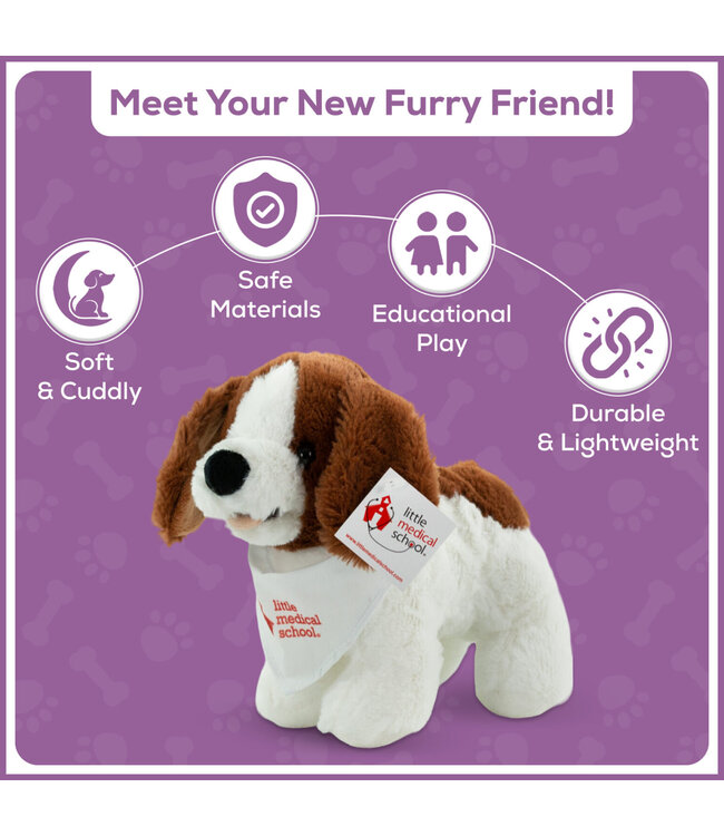 Little Medical School Veterinarian Activity Set