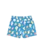 Pink Chicken Blue Seashells Swim Trunk