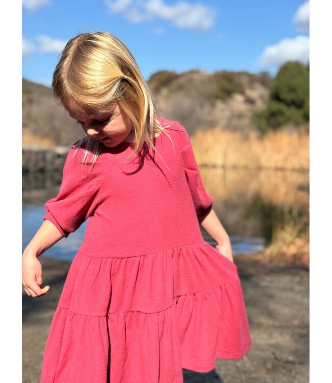 vignette Berry Alice Dress