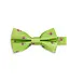Bow Tie