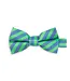 Bow Tie