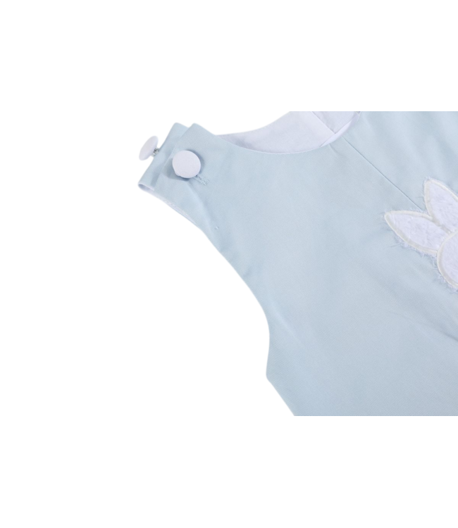 Lil Cactus Blue Fuzzy Bunny Overalls